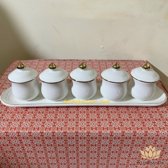 Chum nước, áng nước sứ hoạ tiết Đá Hoa Cương có nắp 5 ly – Màu Trắng