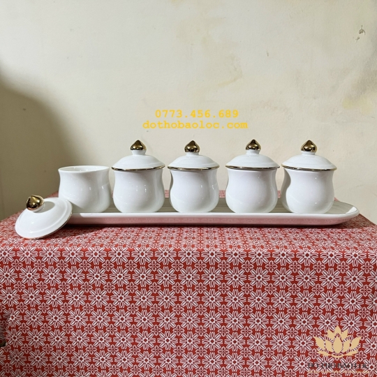 Chum nước, áng nước sứ hoạ tiết Đá Hoa Cương có nắp 5 ly – Màu Trắng